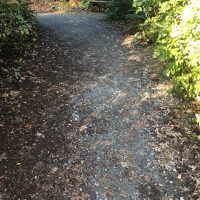 Pacific Connections compact dirt and gravel