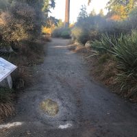 Pacific Connections compact gravel