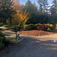 Pacific Connections trail