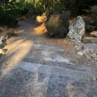 Pacific Connections trail