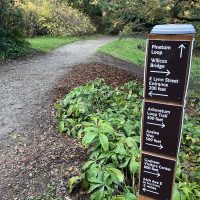 Pinetum trail loop trail sign