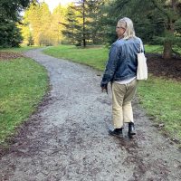 Pinetum trail loop, compacted gravel