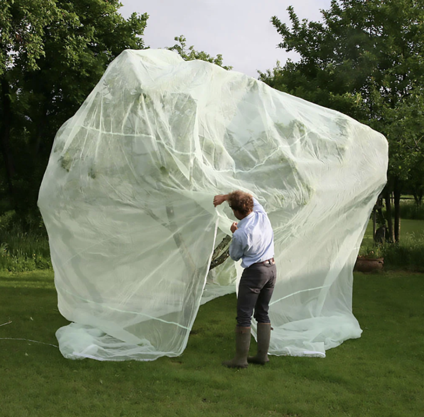 donations page uw farm fruit tree netting