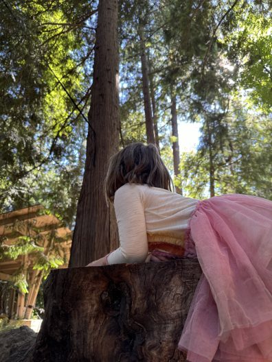 A photo of a child in a pink dress looking up at the trees