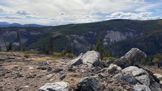 A landscape photo of a mountainside with fire damage