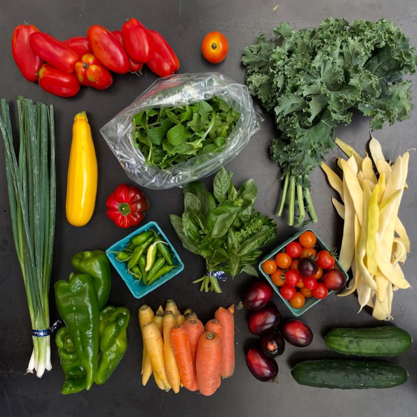 CSA box from September of 2025