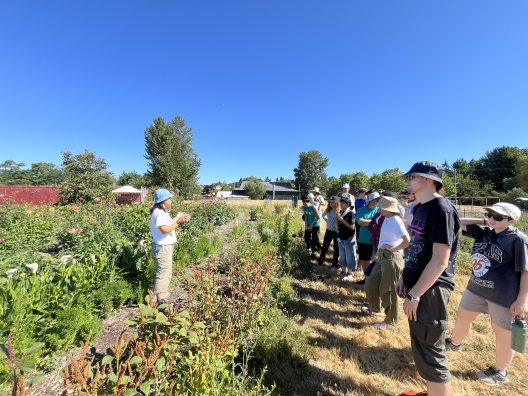 Farm staff standing in the flower plot giving a group a tour