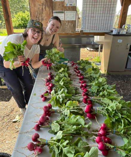 student volunteers in the UW farm washpack holding up clean radishes