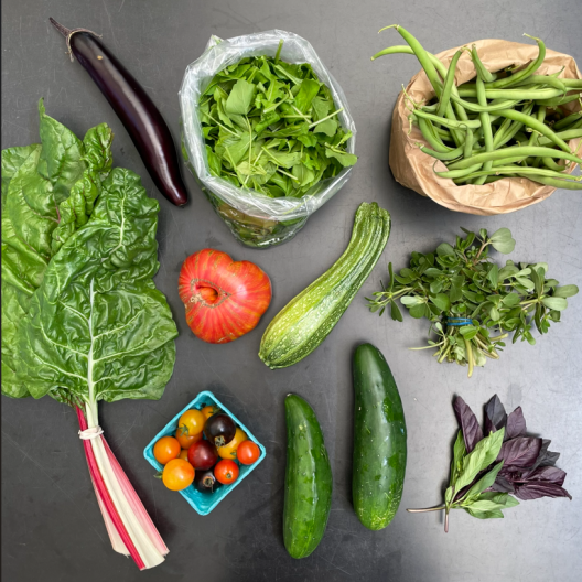 UW Farm CSA box with swiss chard, eggplant, lettuce mix, string beans, cherry tomatoes, a red tomato, succhini, basil and purslane.