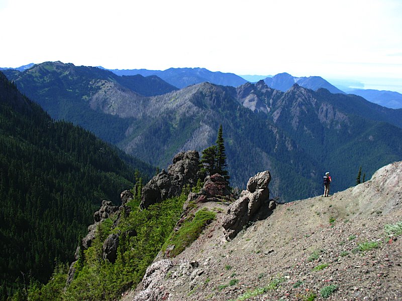A steep talus field with plants growing on it below a narrow ridge where a person stands. In the background are layers of mountains.