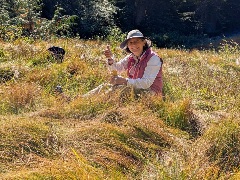  A woman sitting in a meadow while gathering seeds from a plant. 
