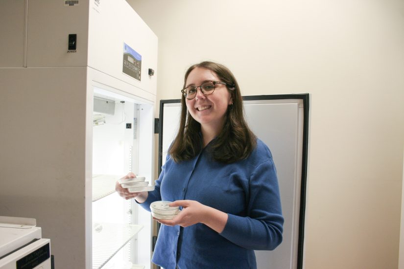 A person holds 4 germination plates in front of an open refrigerator-like chamber. 
