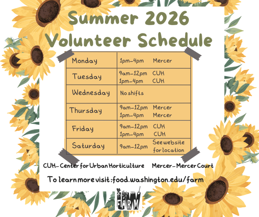Artistic table listing daily volunteer schedule