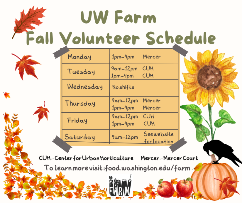 Picture of voluntee schedule