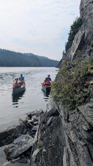 A plant growing on a cliff with seed collectors canoeing in the background.